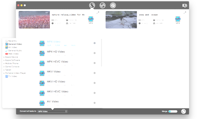 Come convertire il formato WMV in MP4